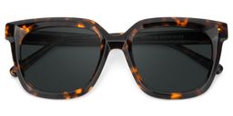 Lark Square Tortoise Polarized Sunglasses1