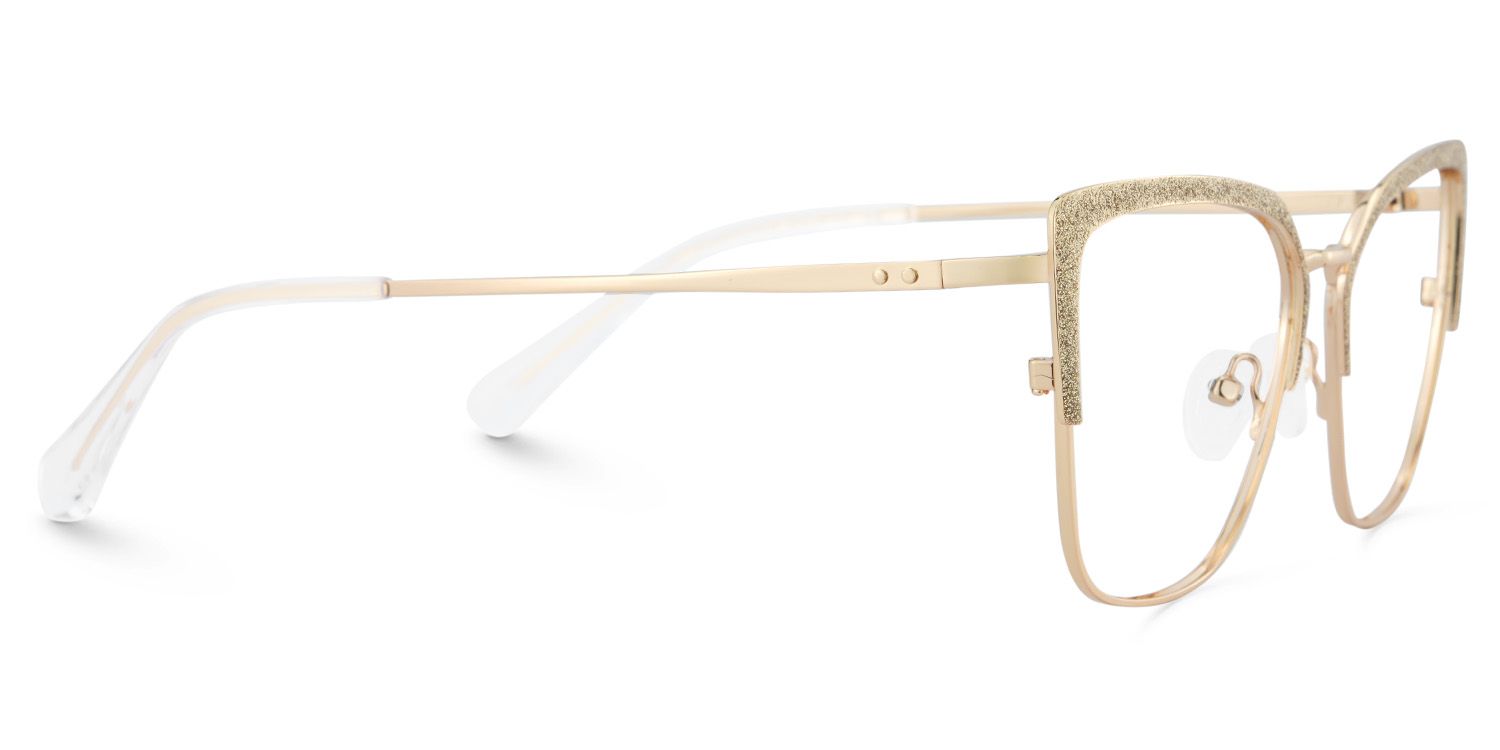 Rectangular Shape Eyeglasses Frames4