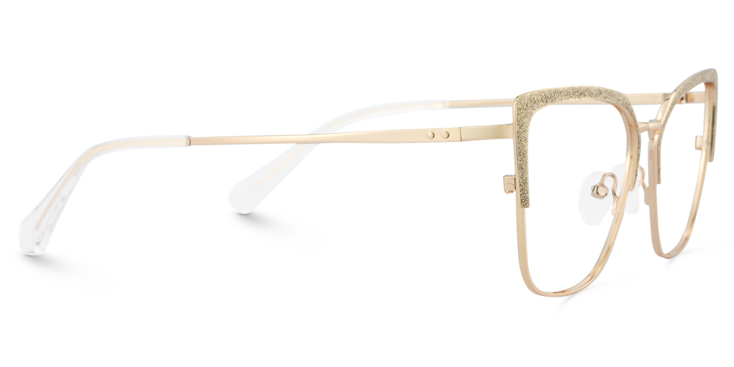 Rectangular Shape Eyeglasses Frames4