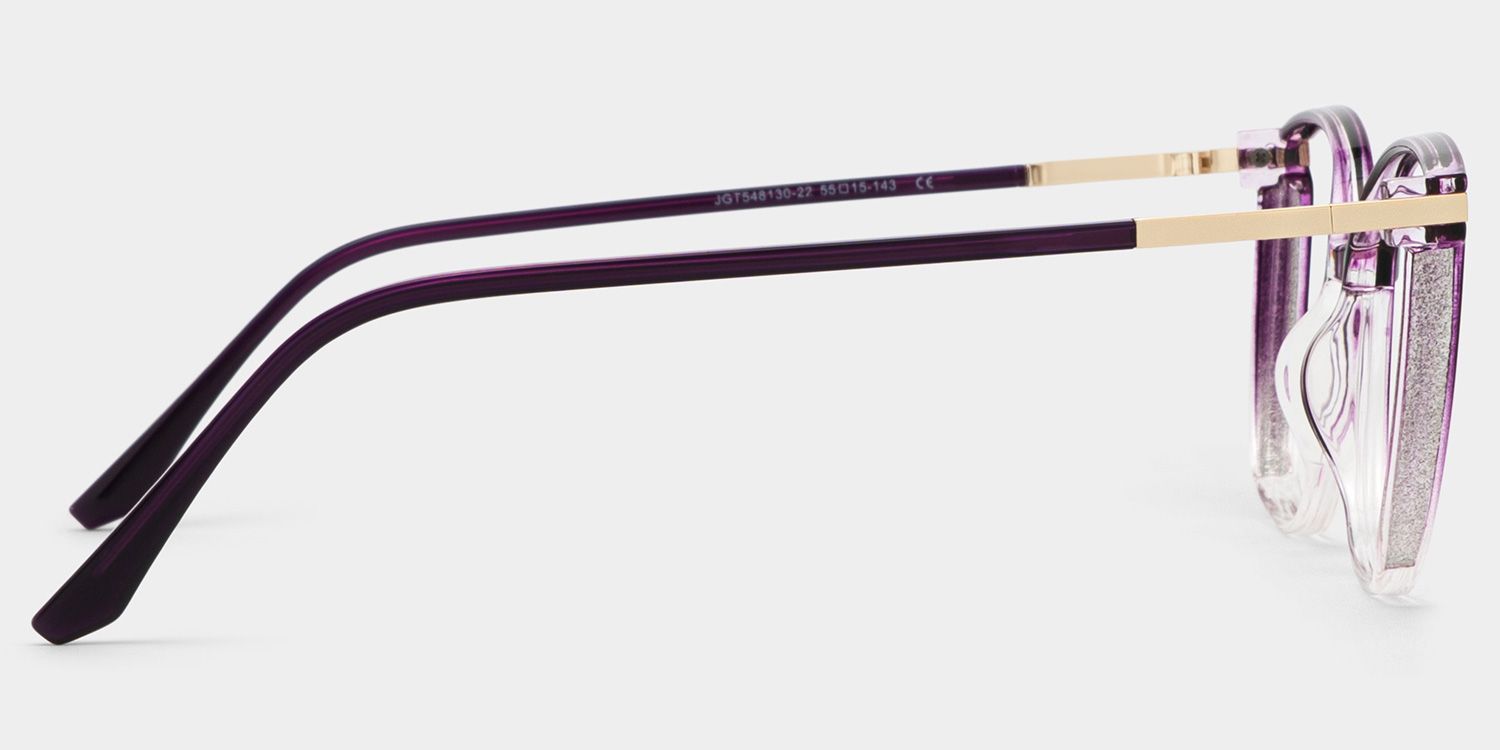 Rodz Purple Eyeglasses and Designer Glasses Frame3