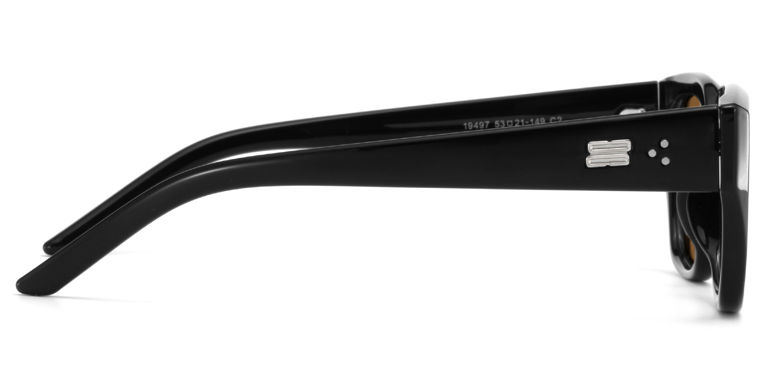 Serene Black Crystal Cat eye Polarized Sunglasses Online | ZEELOOL UK3