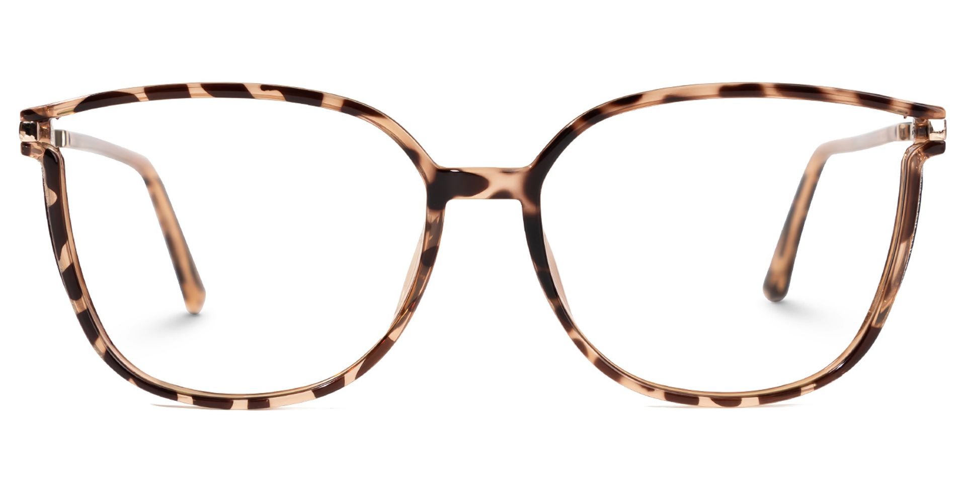 Rodz Pale Tortoiseshell Glasses with Square Thin frame0