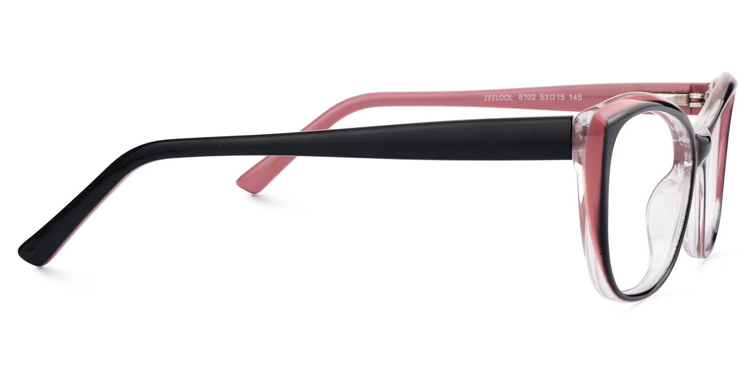 Fidelia Cat Eye Black Glasses5
