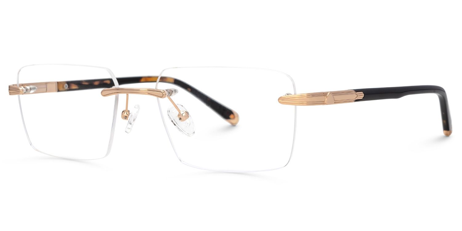 Tortoise Mixed-Materials Rectangle Eyeglasses- Savitrie1