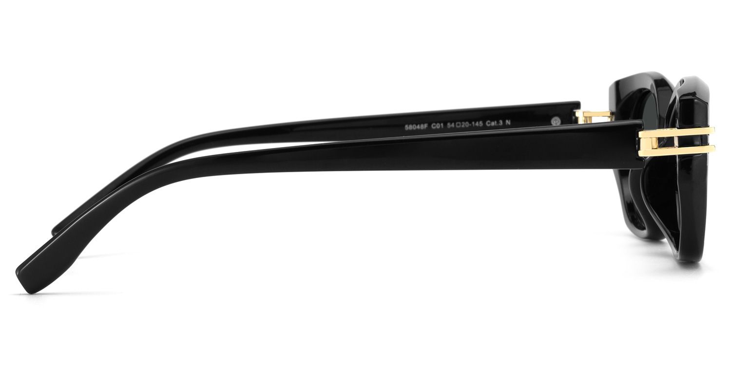 Lagoona Black Cat Eye Sunglasses Online | ZEELOOL UK3