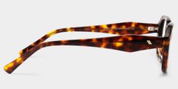 Rowan Tortoise Rectangle Glasses4