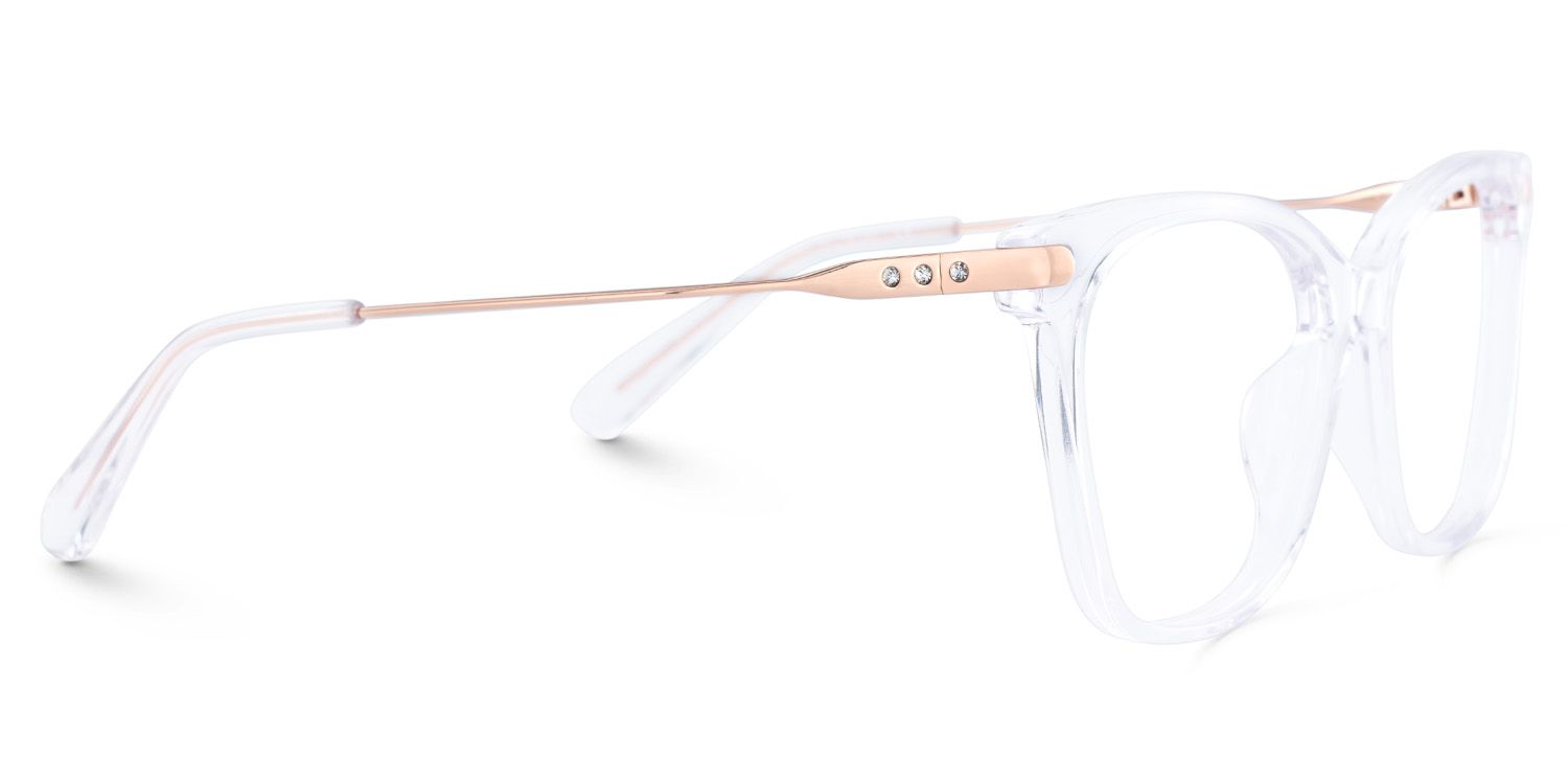Clear Frame Eyeglasses, Butterfly Glasses4