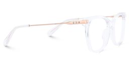 Cardoso Butterfly Clear Glasses4
