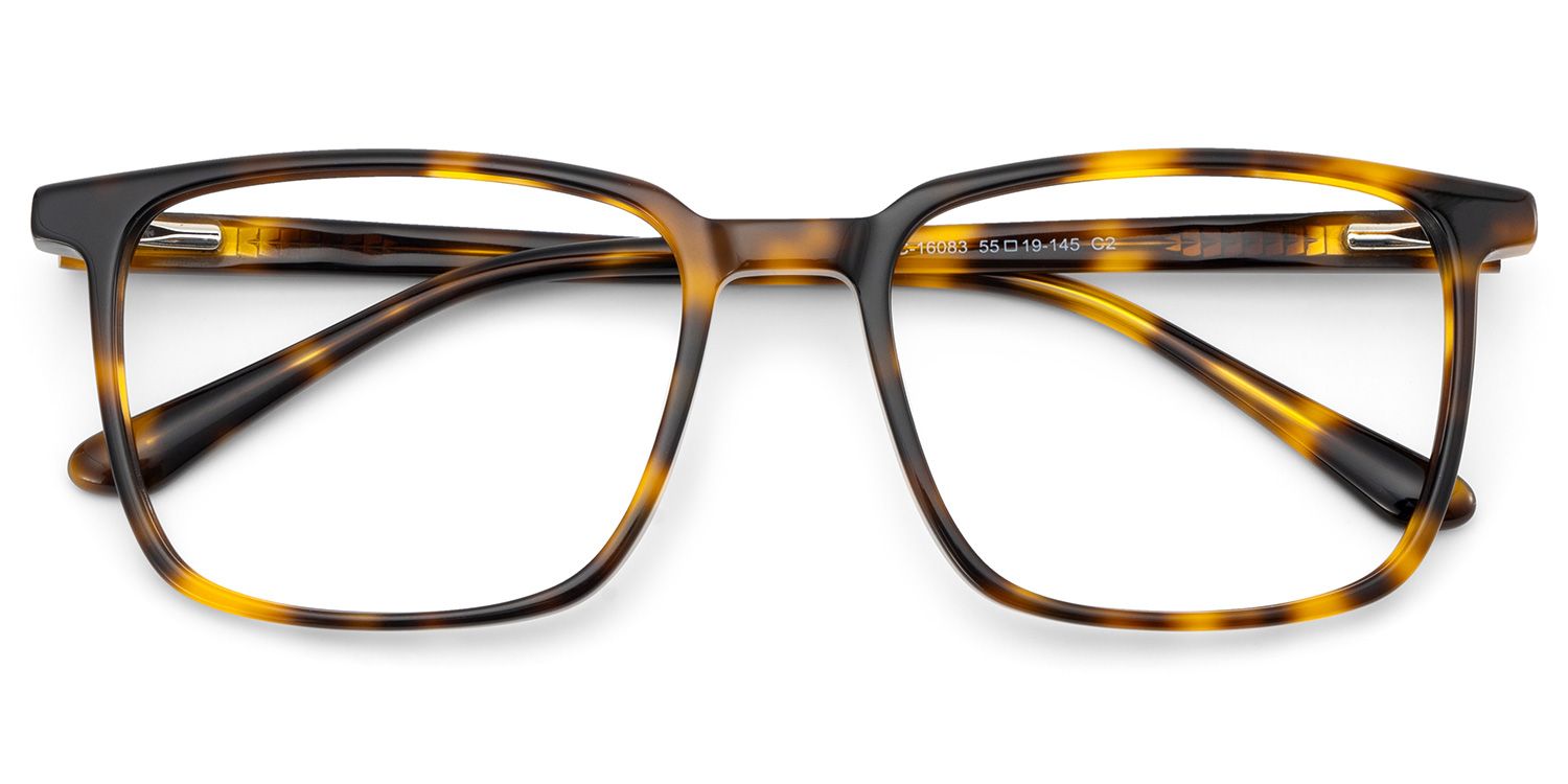 Rectangle Tortoise Eyeglasses- Aidan Acetate Frame Glasses1
