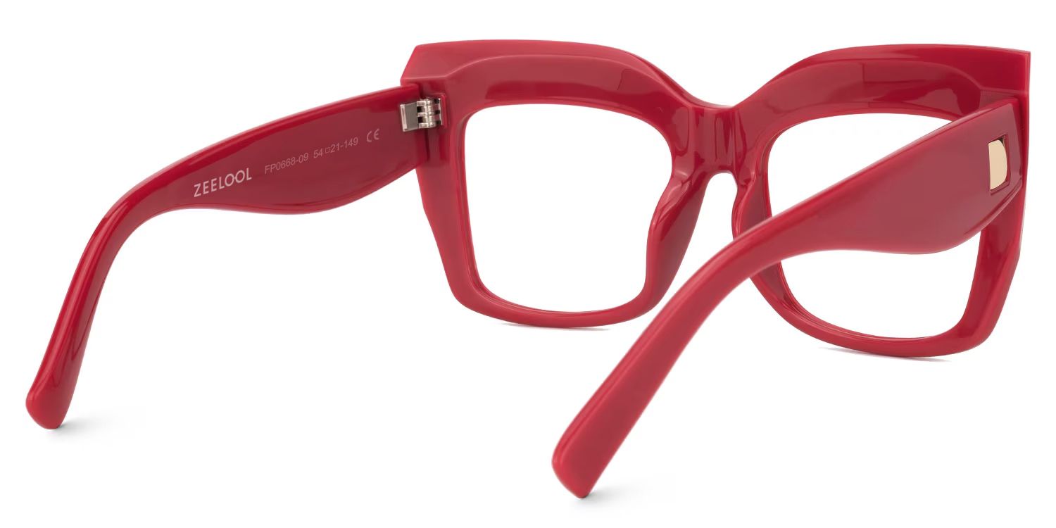 Alberta Cat-Eye Glasses with Red Frames3