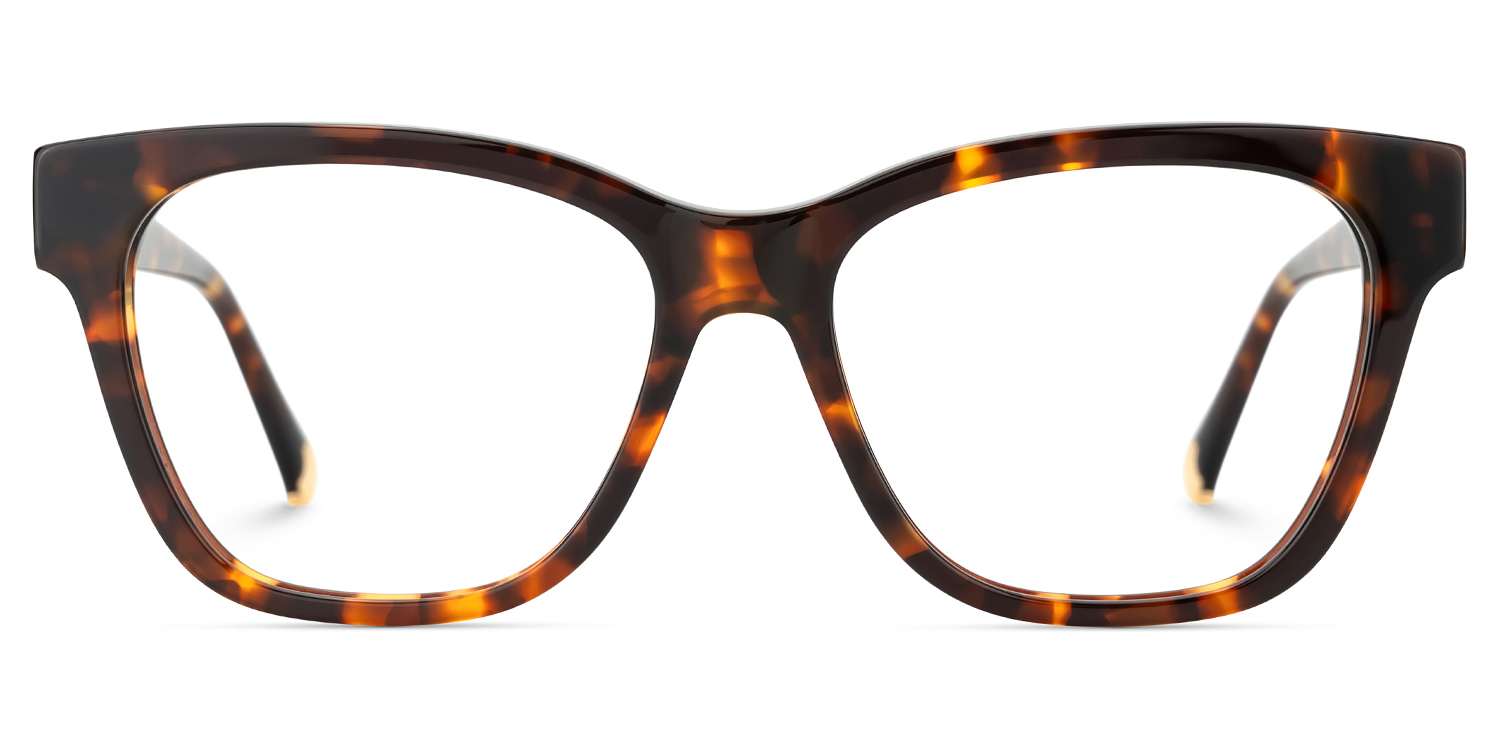 Julian Square Tortoise Glasses good-img