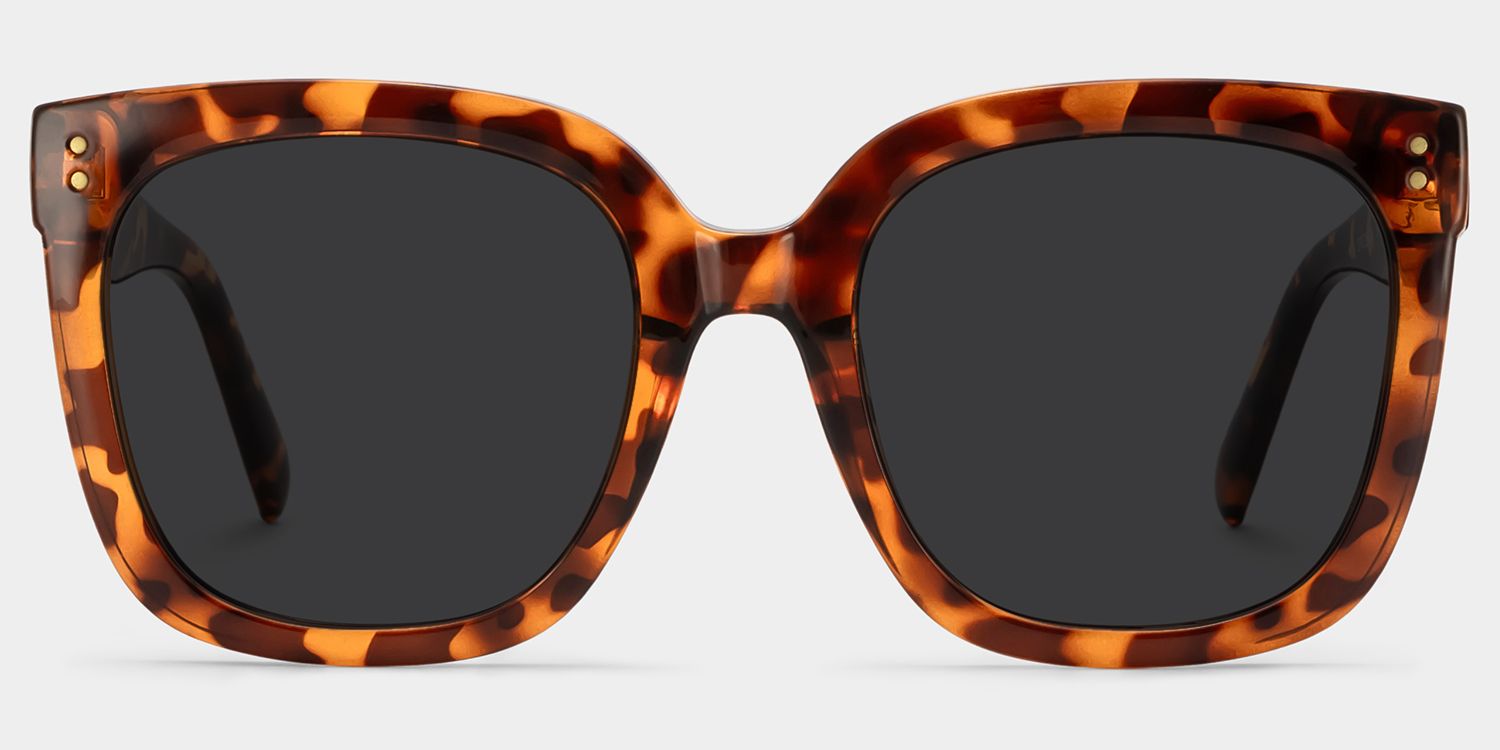 Ebony Tortoise Sunglasses and Square Sunglasses Frames0