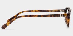 Ashby Tortoise Oval Glasses3