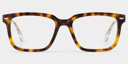 George Rectangle Tortoise Glasses1