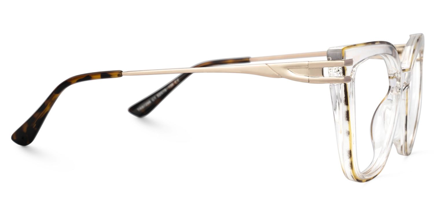 Fillery Clear Frame Glasses with Tortoiseshell Sides2