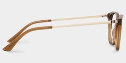 Finch Brown Rectangle Glasses3