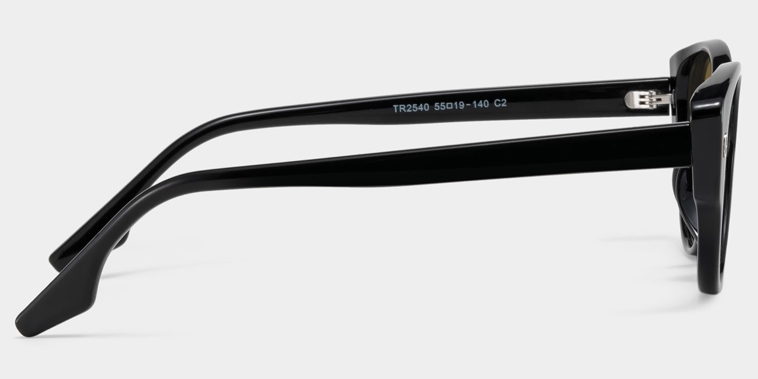 Livia black Frame Polarized Sunglasses with cat-eye Style Online | ZEELOOL UK3