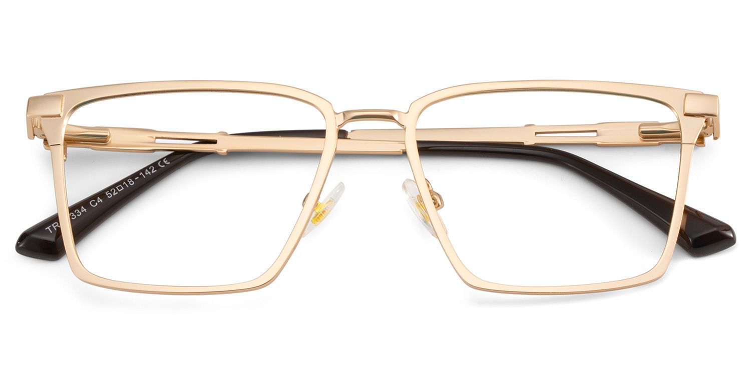 Finn Eyeglasses in Rectangle Gold Frame | ZEELOOL UK2