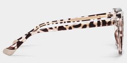 Fenn Tortoise Cat eye Sunglasses3