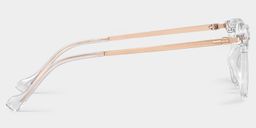 William Rectangle Clear Glasses3