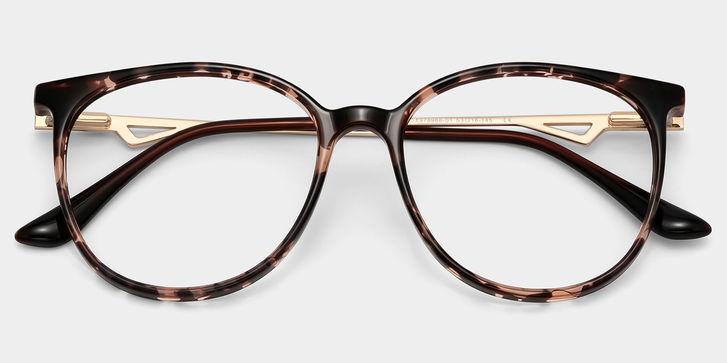 Chanty Round Tortoise Glasses, Circle Glasses Frames1