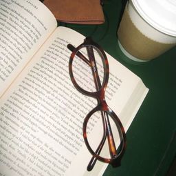 Everly Oval Tortoise Glasses3