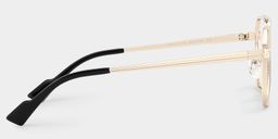 Autumn Aviator Gold Glasses4