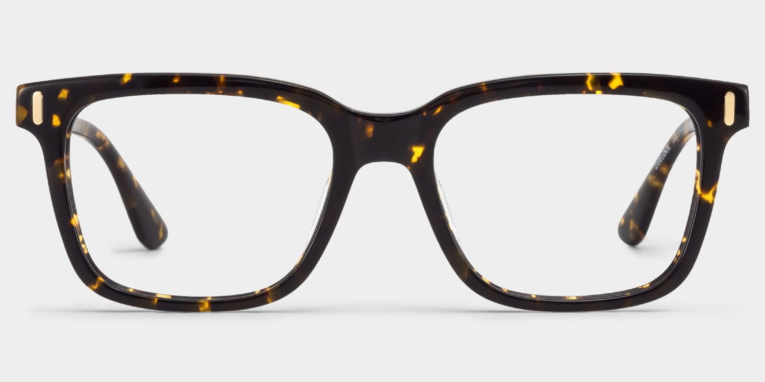 Axel Tortoise Frame Glasses with Rectangle Frame Online | ZEELOOL UK2