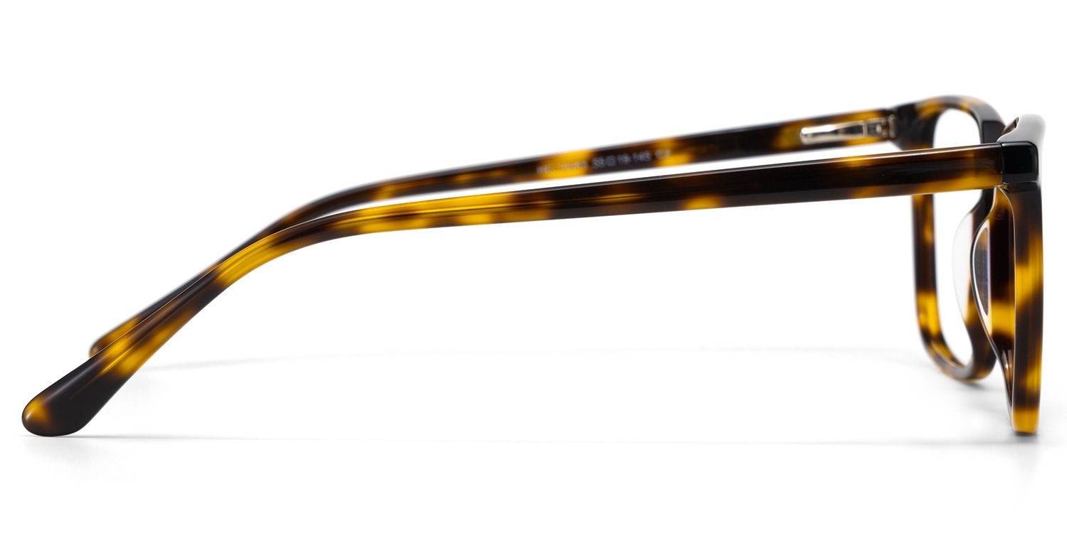 Rectangle Tortoise Eyeglasses- Aidan Acetate Frame Glasses3