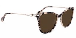 Westley Butterfly Light-Tortoise Glasses2