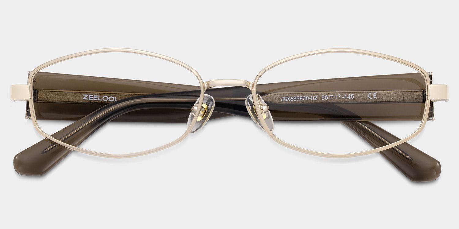 Dakota Cinnamon Rectangle Glasses for the Female | ZEELOOL1