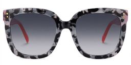 Ebony Square Gray-Tortoise Glasses0