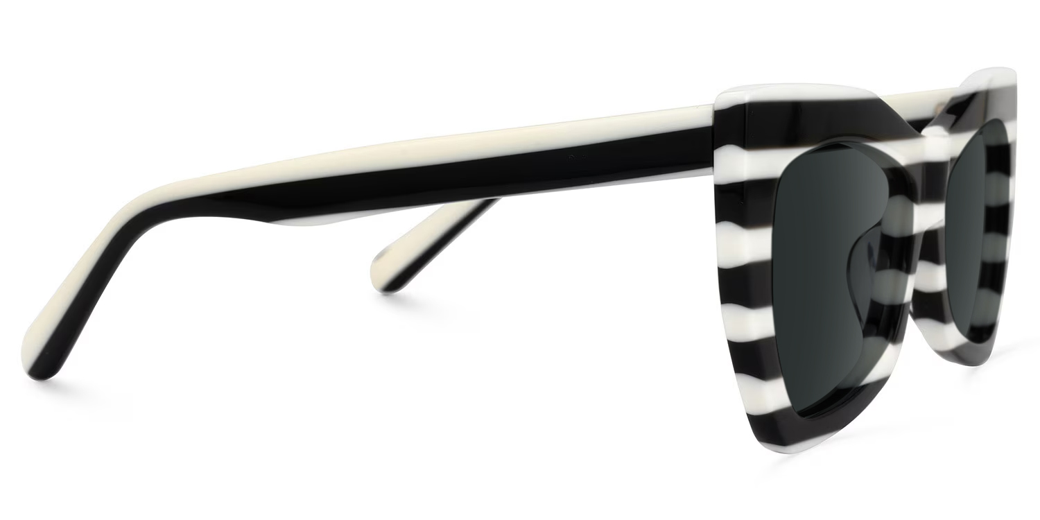 Bernita Geometric Black and White Striped Frames Sunglasses2