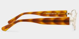 Dakota Tortoise Rectangle Glasses4