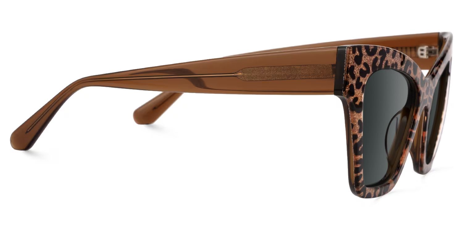 Designer Ansyah Cat Eye Leopard Print Frame Sunglasses4