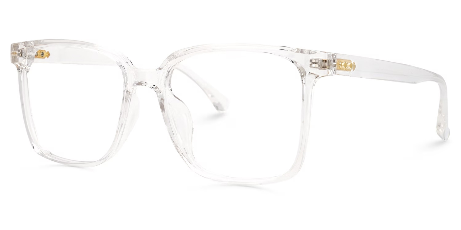 Square Contreras Eyeglasses and Crystal Frame1