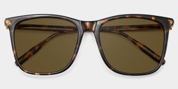Malika Square Tortoise Polarized Sunglasses1
