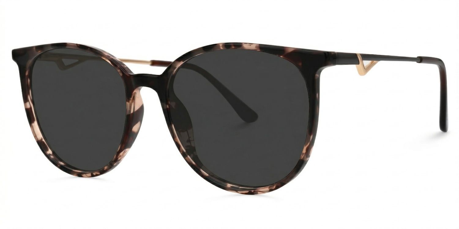 Chanty Round Tortoise Glasses, Circle Glasses Frames1
