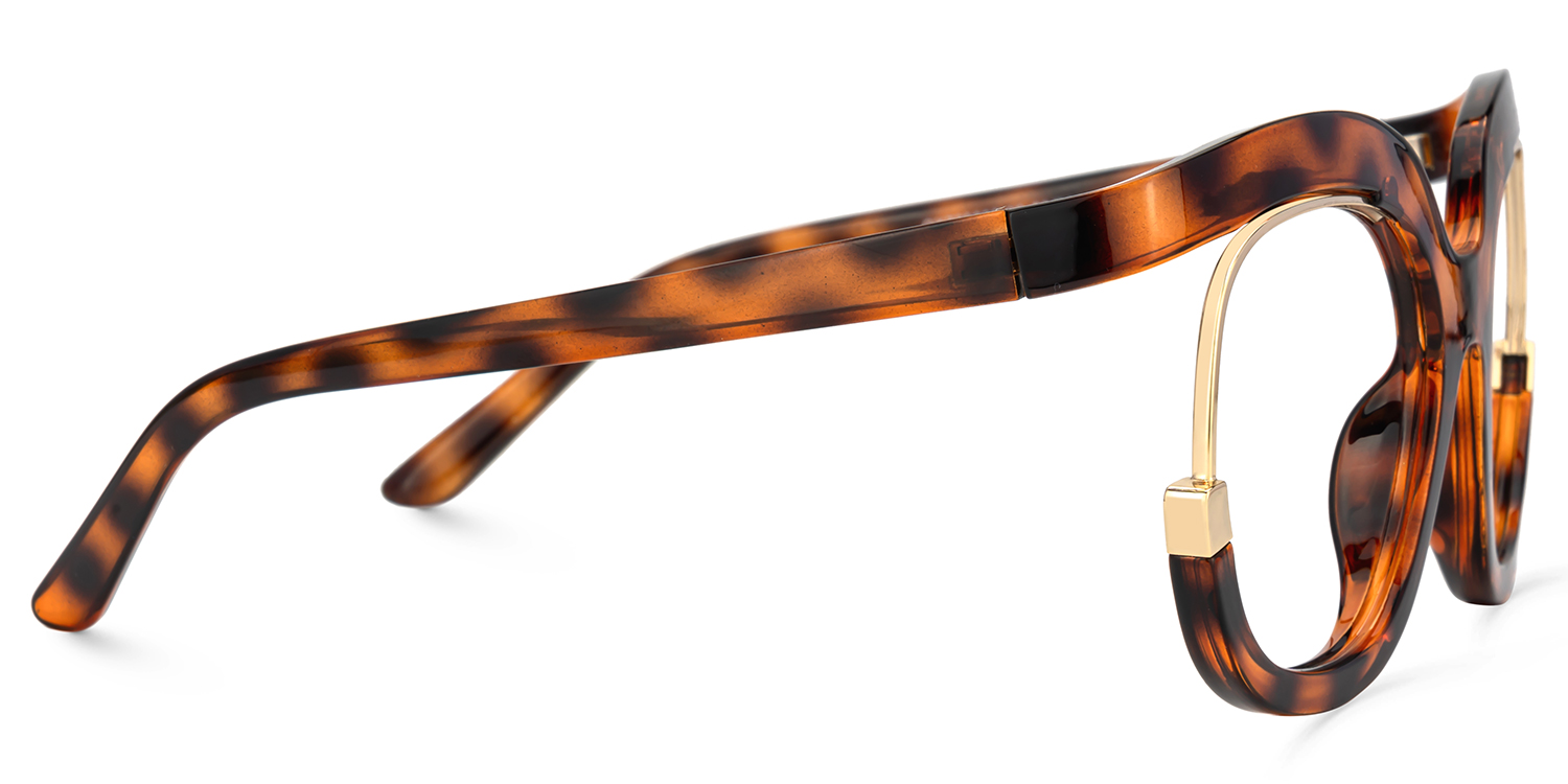 Darice Round Tortoise Glasses | ZEELOOL UK3