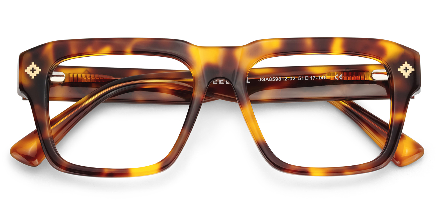 Ramdass Rectangle Tortoise Glasses2