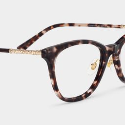April Cat-eye Tortoise Glasses5
