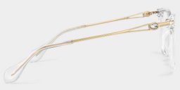 Westley Butterfly Clear Glasses3