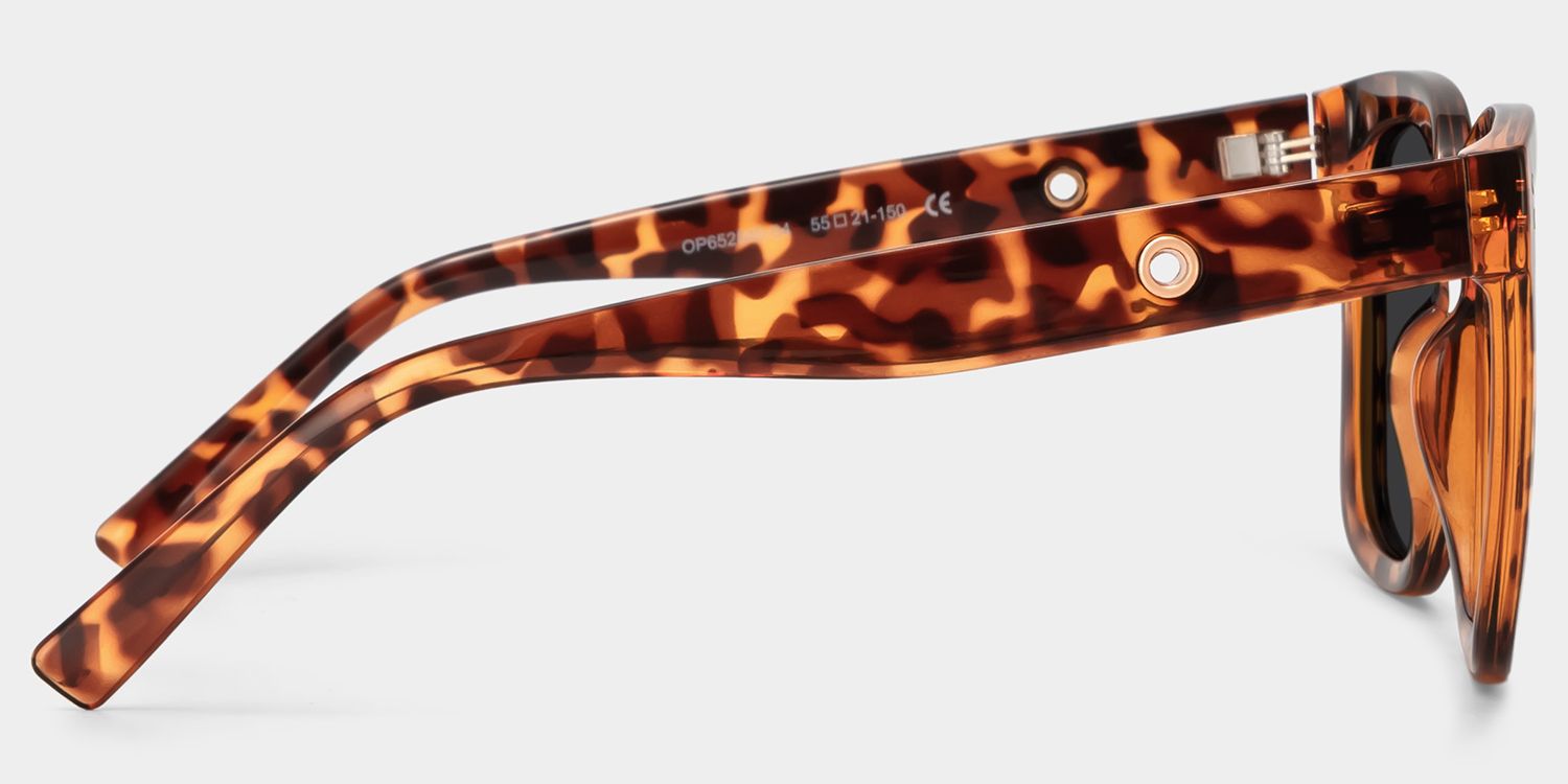 Ebony Tortoise Sunglasses and Square Sunglasses Frames3