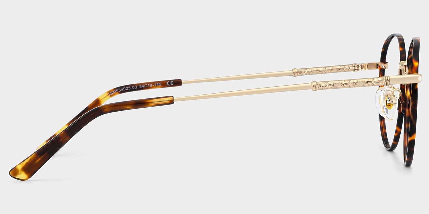 Ian Tortoise Frame Glasses with Round Frame Online | ZEELOOL4