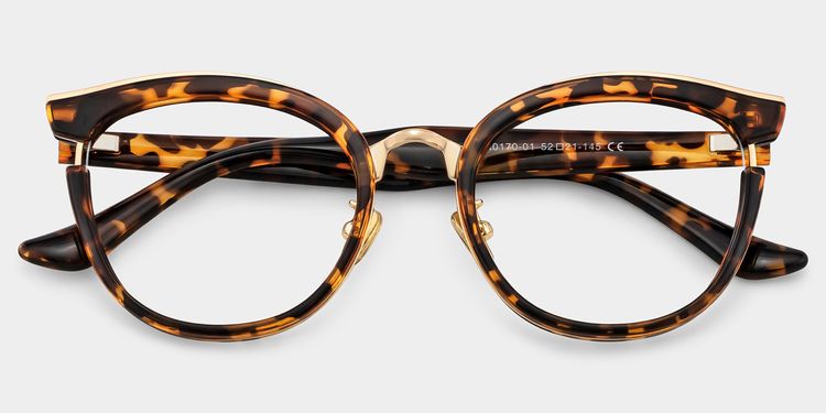 Laraine Tortoise Cat eye Glasses