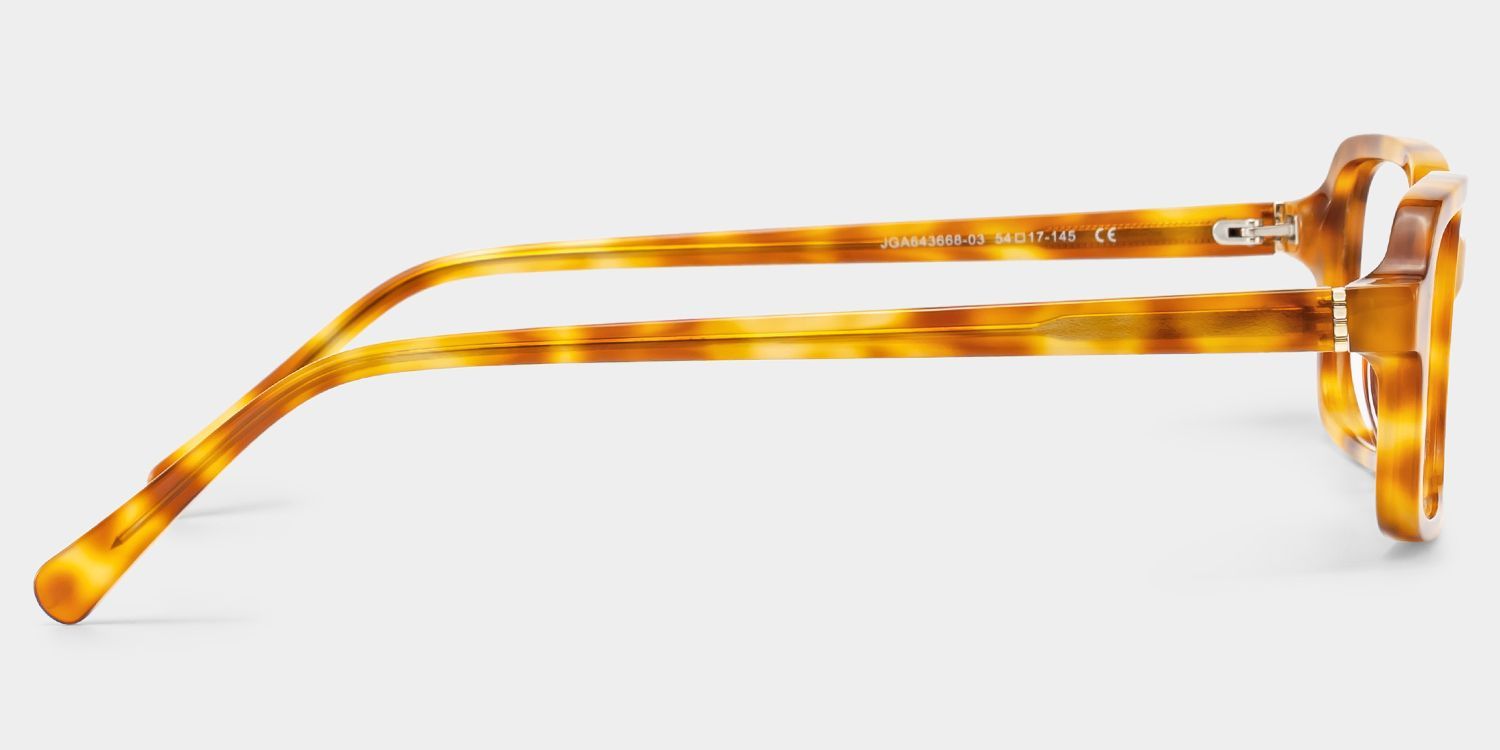 Danielle Light Brown Tortoise Shell Rectangle Glasses | ZEELOOL3