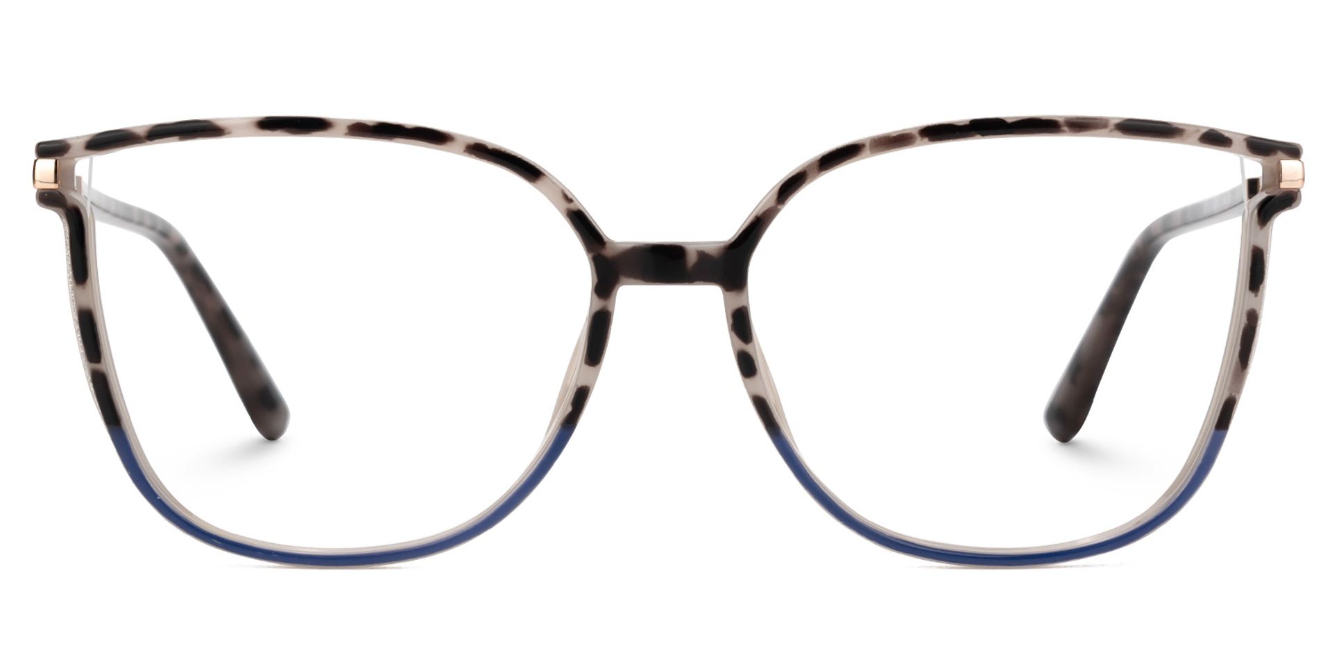 Rodz Tortoise-Blue Eyeglasses with Designer Frame0