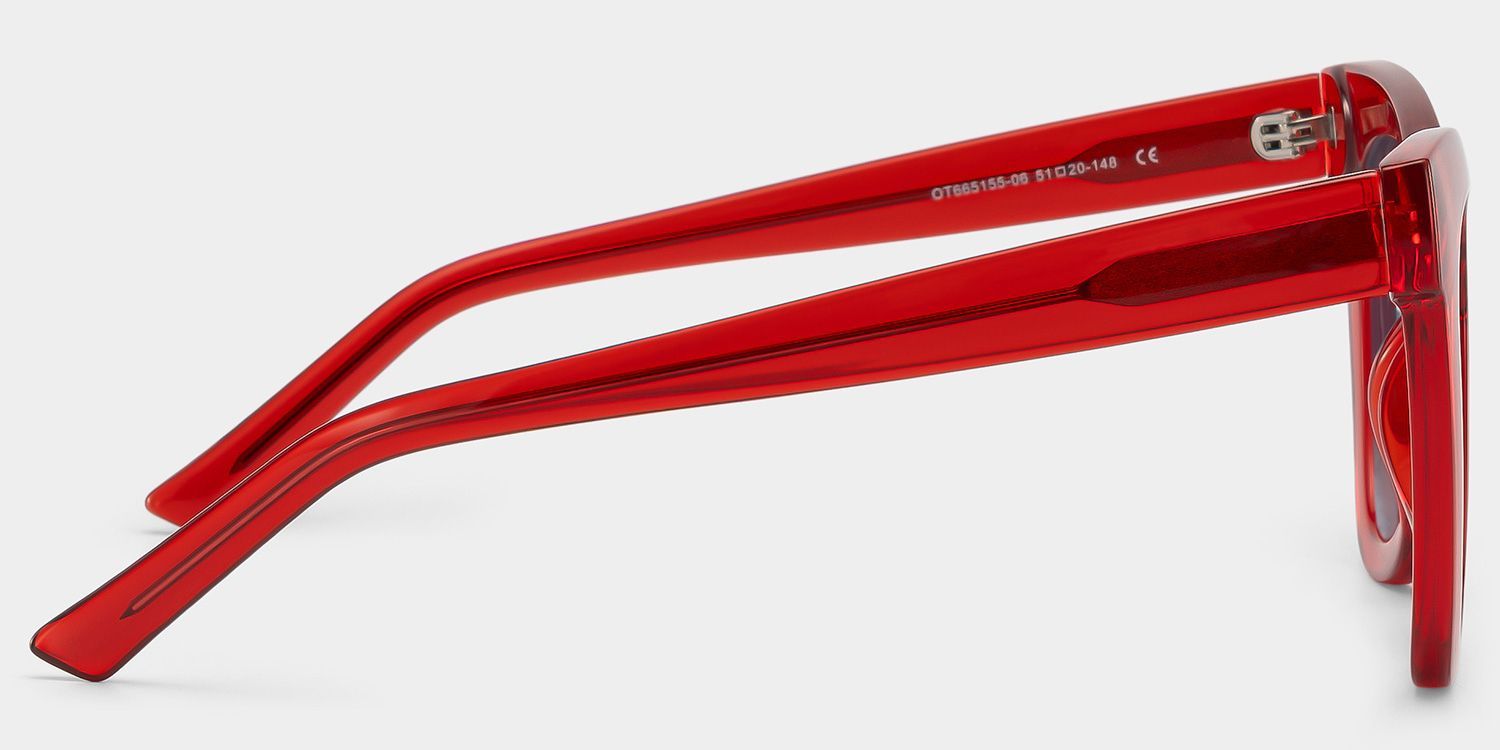 Yaser Cat-eye Red Eyeglasses and Acetate Frames3