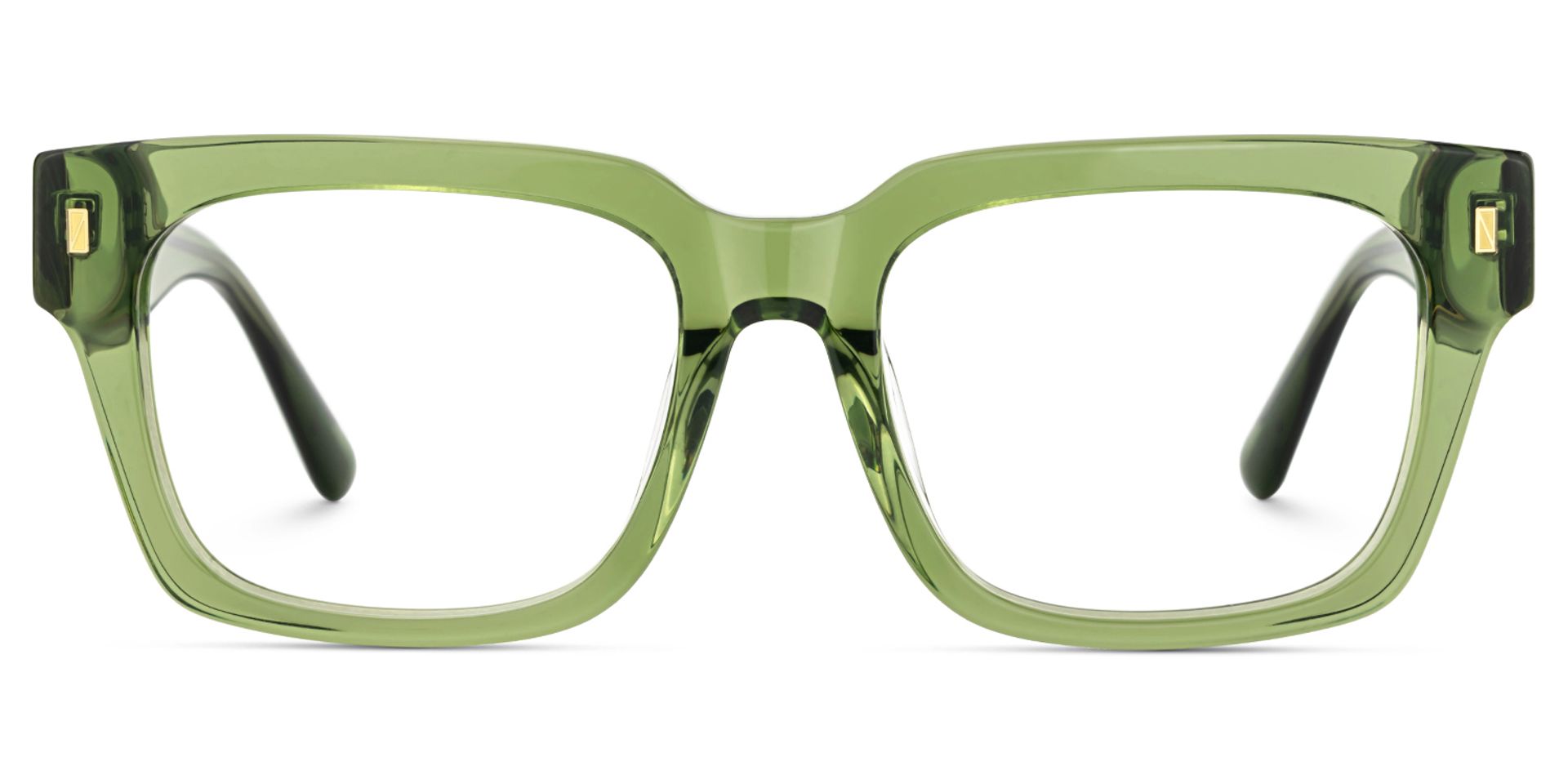 Clear Green Glasses Frames With Green and Tortoise Temples0