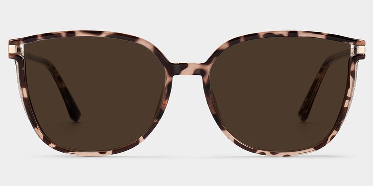 Rodz Tortoise Square Sunglasses